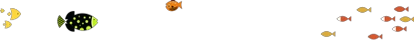 篮球力量训练计划表图片_1